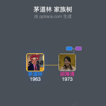 茅道林 家族树全览