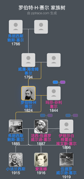 罗伯特·H·赛尔家族树全览