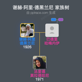 谢赫·阿里·德黑兰尼家族树全览
