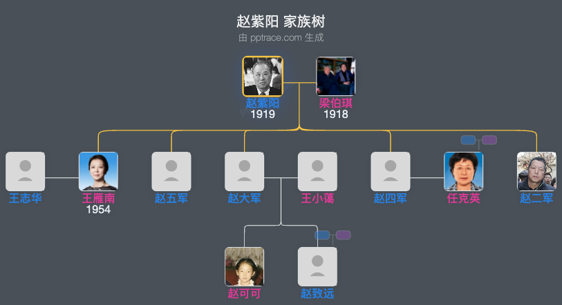 赵紫阳 家族树全览