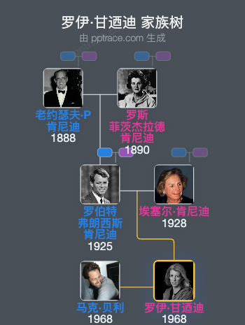 罗伊·甘迺迪家族树全览