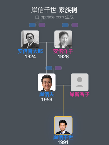 岸信千世家族树全览