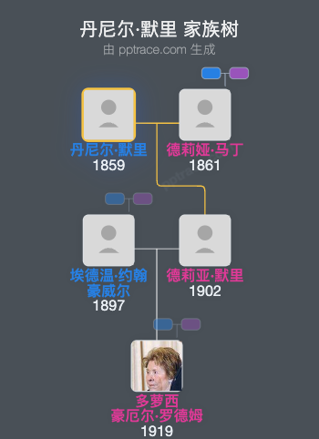 丹尼尔·默里家族树全览