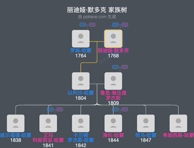 丽迪娅·默多克家族树全览