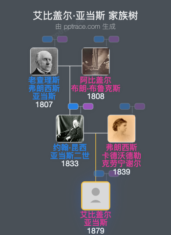 艾比盖尔·亚当斯家族树全览