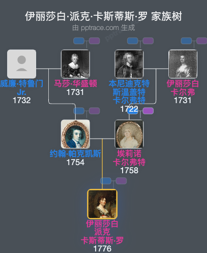 伊丽莎白·派克·卡斯蒂斯·罗家族树全览