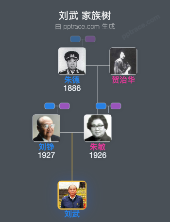 刘武 家族树全览