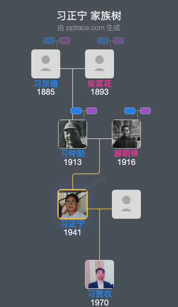 习正宁 家族树全览