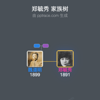 郑毓秀 家族树全览