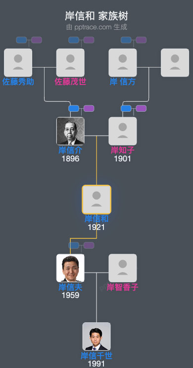 岸信和家族树全览