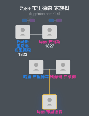 玛丽·布里德森家族树全览