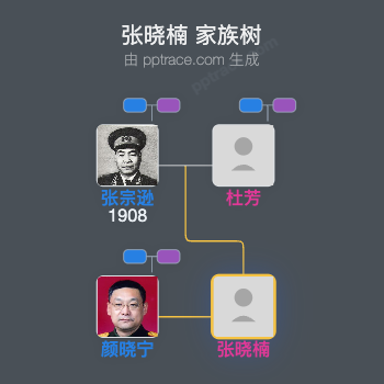 张晓楠 家族树全览