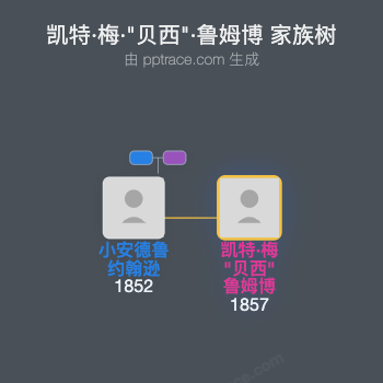 凯特·梅·"贝西"·鲁姆博家族树全览