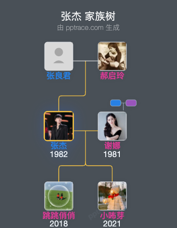 张杰家族树全览