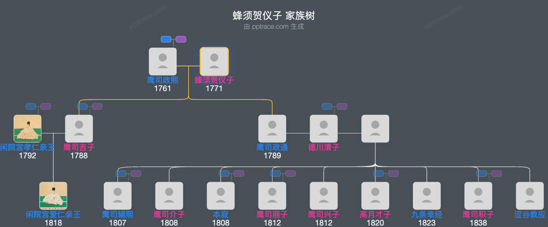 蜂须贺仪子家族树全览