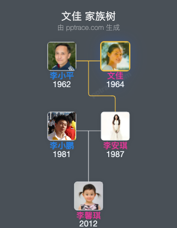 文佳家族树全览