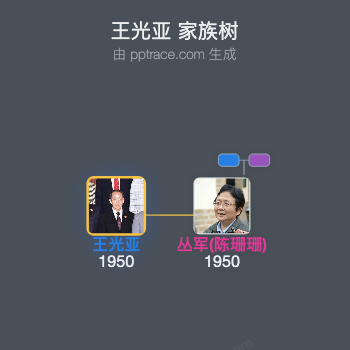 王光亚 家族树全览