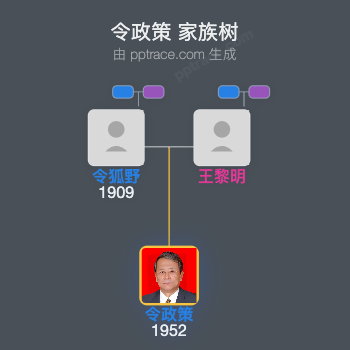 令政策 家族树全览