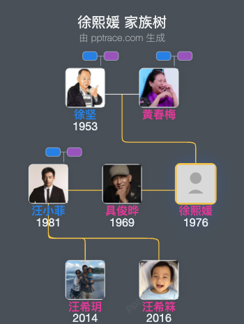 徐熙媛 家族树全览