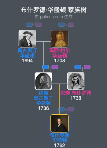 布什罗德·华盛顿家族树全览