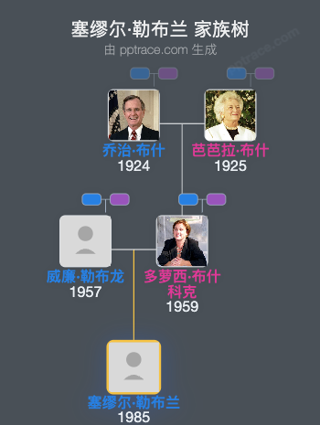 塞缪尔·勒布兰家族树全览