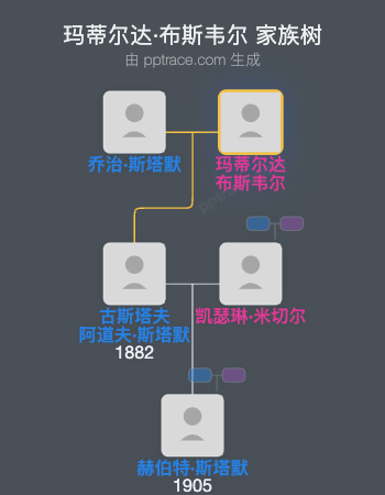 玛蒂尔达·布斯韦尔家族树全览