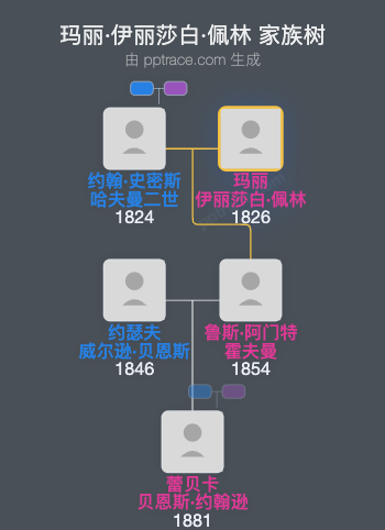 玛丽·伊丽莎白·佩林家族树全览