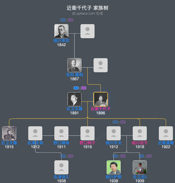 近衛千代子家族树全览