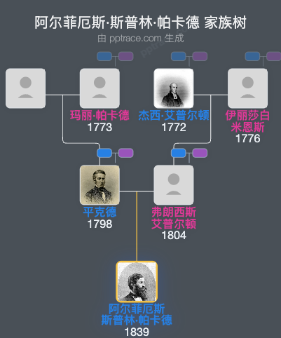 阿尔菲厄斯·斯普林·帕卡德家族树全览