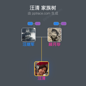 汪清 家族树全览