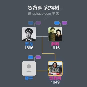 贺黎明 家族树全览