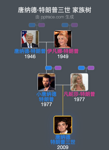 唐纳德·特朗普三世家族树全览