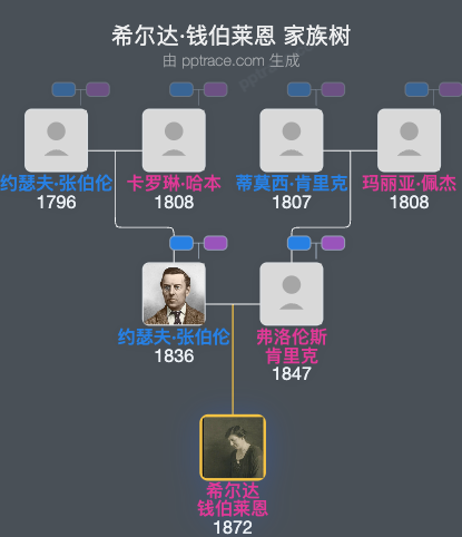 希尔达·钱伯莱恩家族树全览