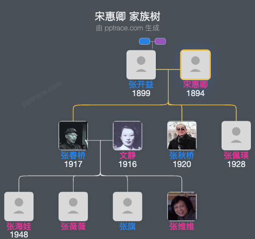 宋惠卿 家族树全览