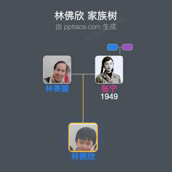 林佛欣 家族树全览