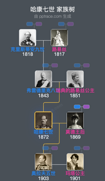 哈康七世家族树全览