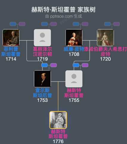 赫斯特·斯坦霍普家族树全览