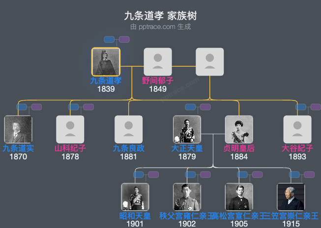九条道孝家族树全览
