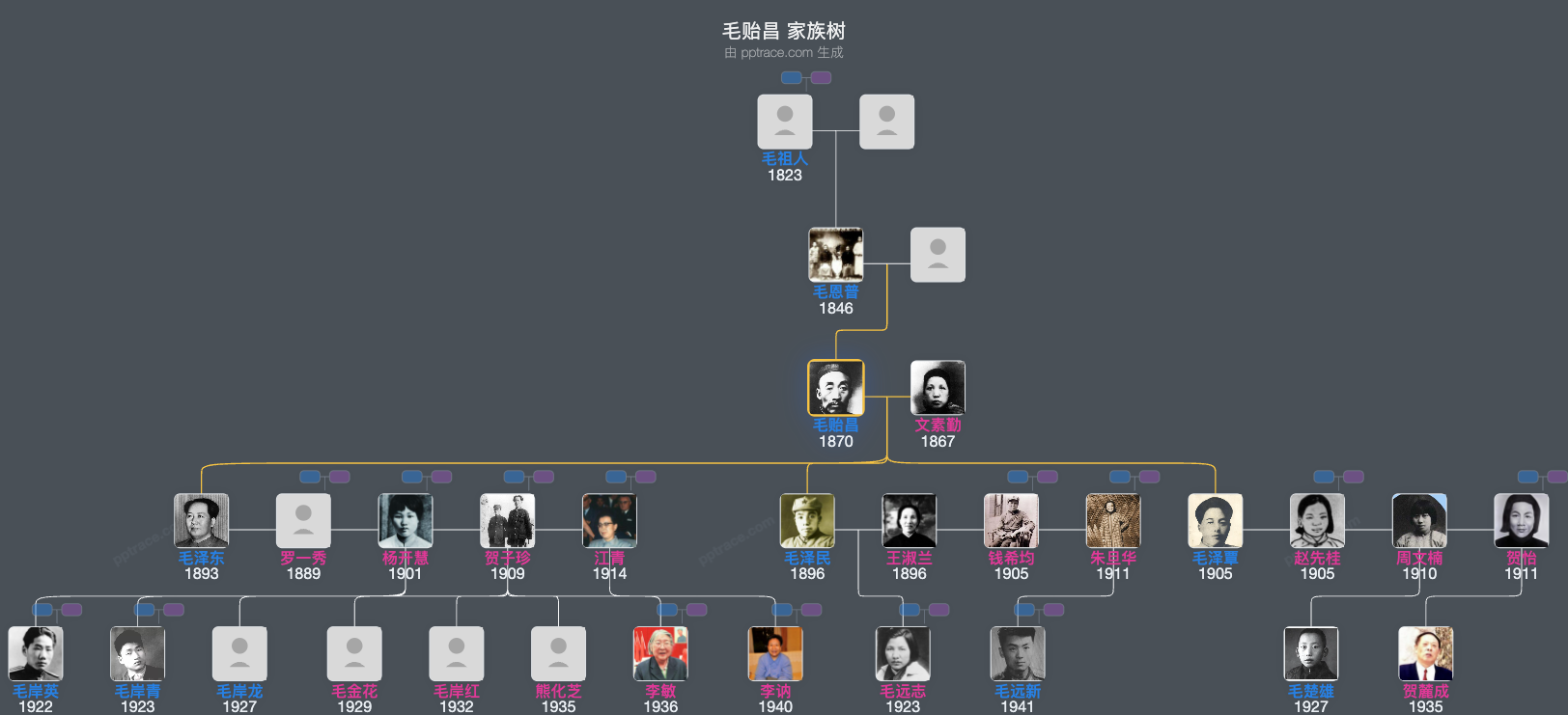 毛贻昌 家族树全览