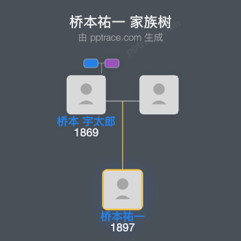 桥本祐一家族树全览
