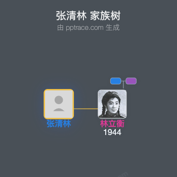 张清林 家族树全览