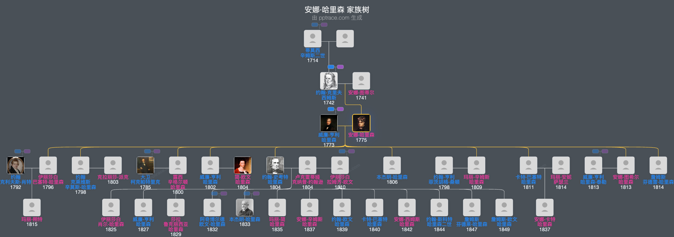 安娜·哈里森家族树全览