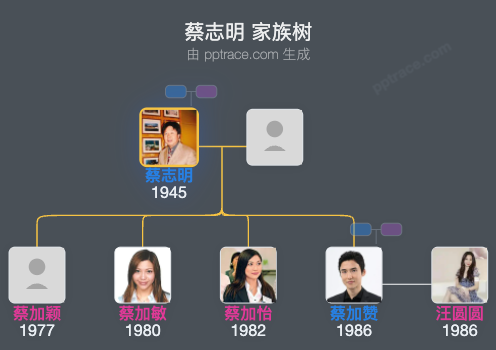 蔡志明 家族树全览