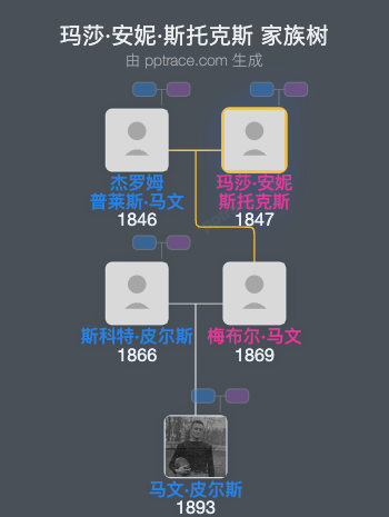 玛莎·安妮·斯托克斯家族树全览