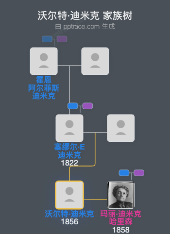 沃尔特·迪米克家族树全览