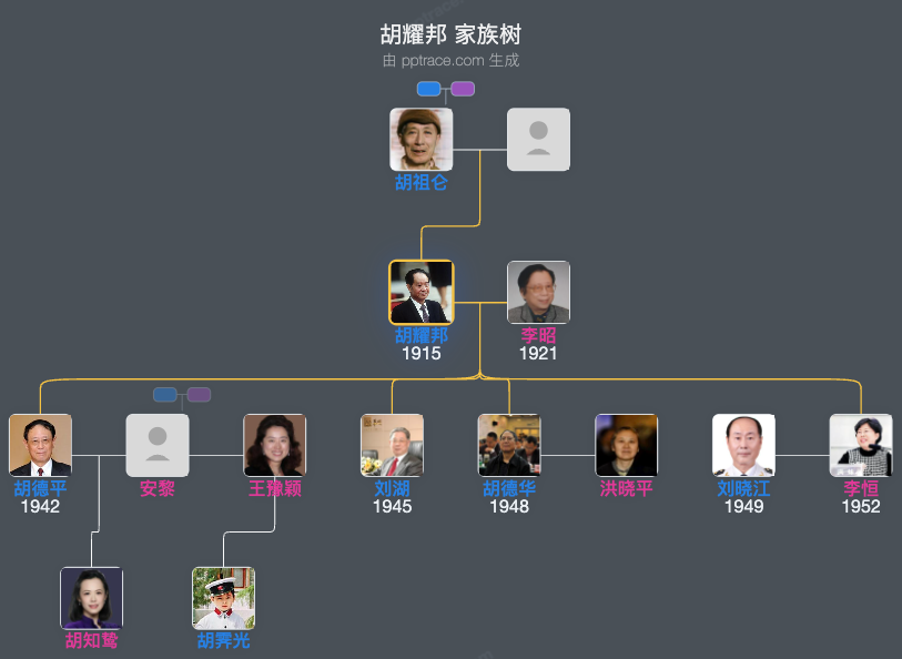 胡耀邦 家族树全览