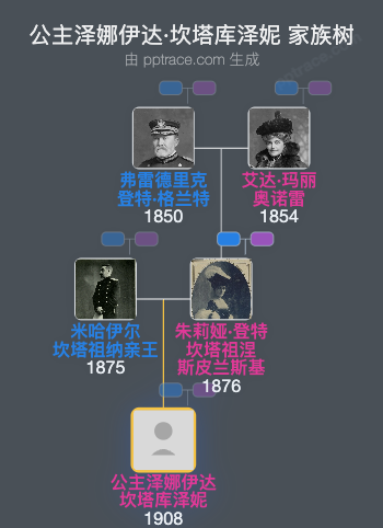 公主泽娜伊达·坎塔库泽妮家族树全览