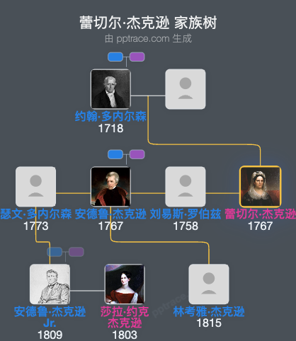 蕾切尔·杰克逊家族树全览