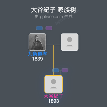 大谷紀子家族树全览