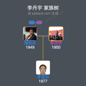 李丹宇 家族树全览